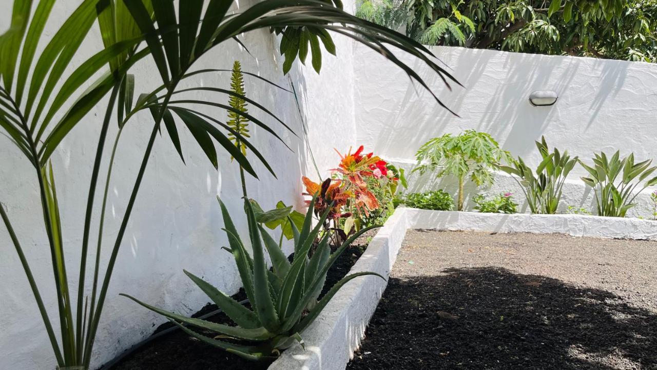 Willa Jardin De La Suerte Agaete  Zewnętrze zdjęcie